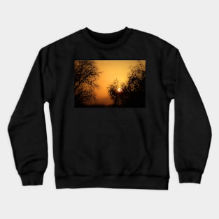 A bird watching the sunset? Crewneck Sweatshirt